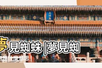 【夢見蜘蛛掉頭上 跑掉了】夢見蜘蛛 |夢見蜘蛛跑是什麼意思 |夢見蜘蛛在頭上 |