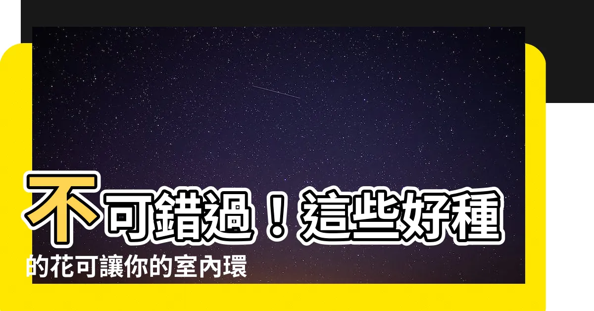 【好種的花】不可錯過！這些好種的花可讓你的室內環境充滿生氣！