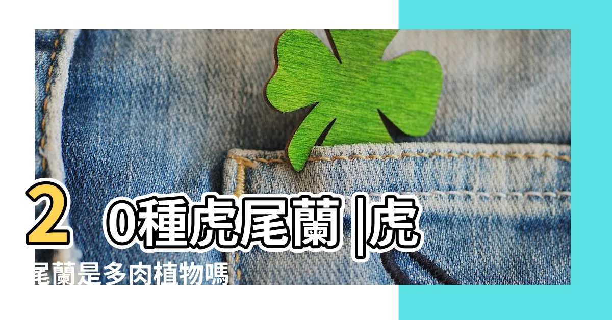 【虎尾蘭品種】20種虎尾蘭 |虎尾蘭是多肉植物嗎 |虎年最旺盆栽 |