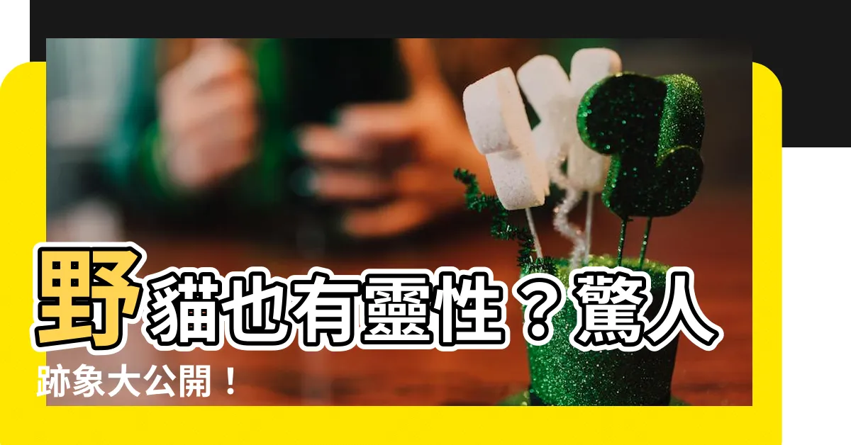 【野貓有靈性嗎】野貓也有靈性？驚人跡象大公開！
