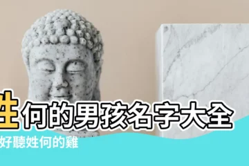 【好聽的何姓雞寶寶名字大全】姓何的男孩名字大全 |超好聽姓何的雞寶寶名字大全 |2017雞年何姓雞寶寶起名字大全 |
