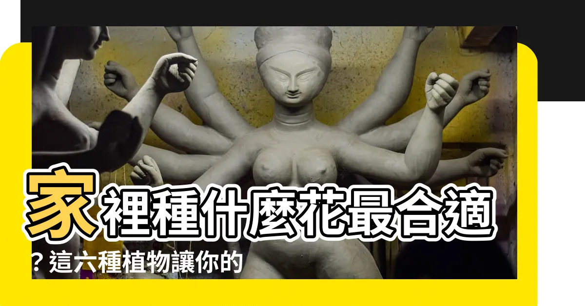 【家裡種什麼花比較適合】家裡種什麼花最合適？這六種植物讓你的居家環境煥然一新