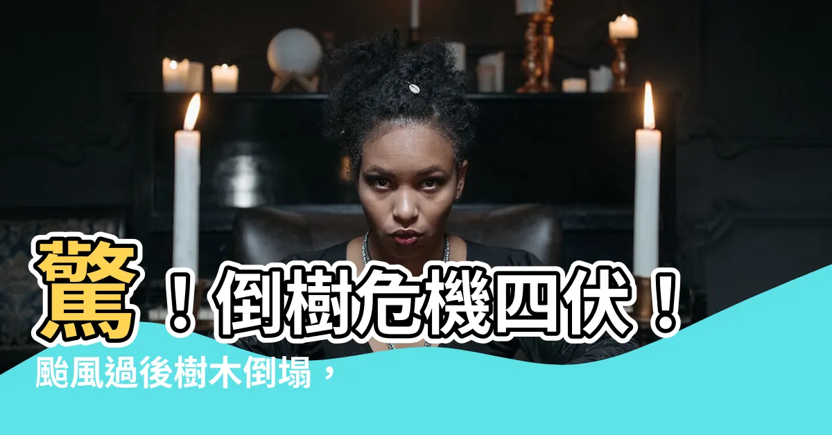 【倒樹】驚！倒樹危機四伏！颱風過後樹木倒塌，小心生命安全！