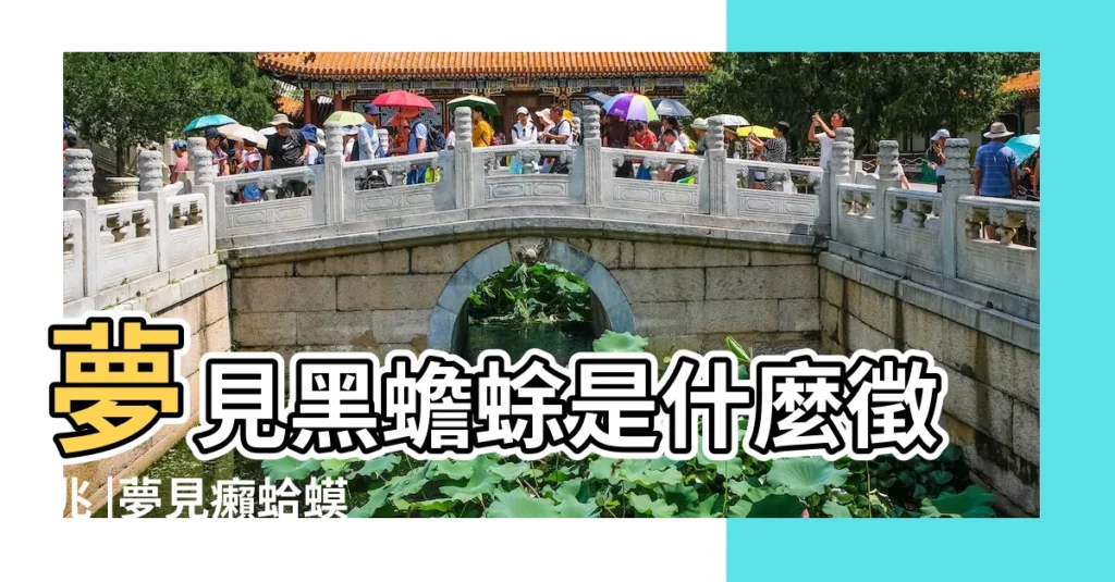 夢見黑蟾蜍是什麼徵兆 |夢見癩蛤蟆 |夢見蟾蜍周公解夢 |【周公解夢夢見一隻黑色癩蛤蟆】