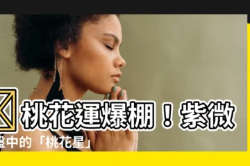 【桃花星】🌟桃花運爆棚！紫微命盤中的「桃花星」讓你魅力無法擋🌟