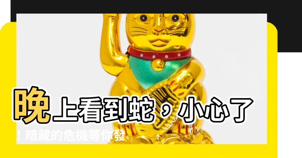 【晚上看到蛇代表什麼】晚上看到蛇，小心了！暗藏的危機等你發現