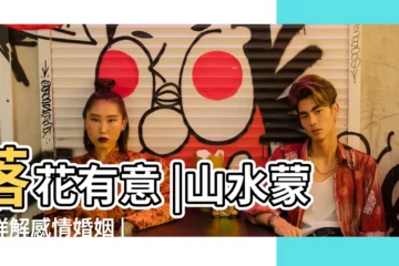 【山水蒙感情婚姻】落花有意 |山水蒙卦詳解感情婚姻 |蒙卦婚姻 |