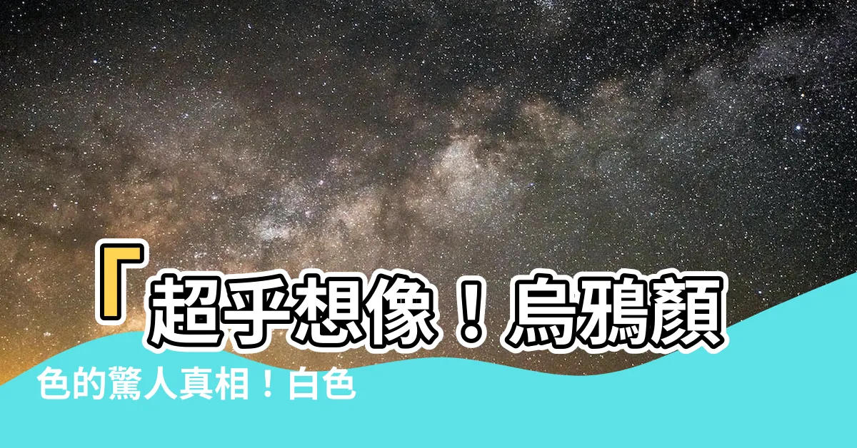 【烏鴉顏色】「超乎想像！烏鴉顏色的驚人真相！白色烏鴉竟然存在？」