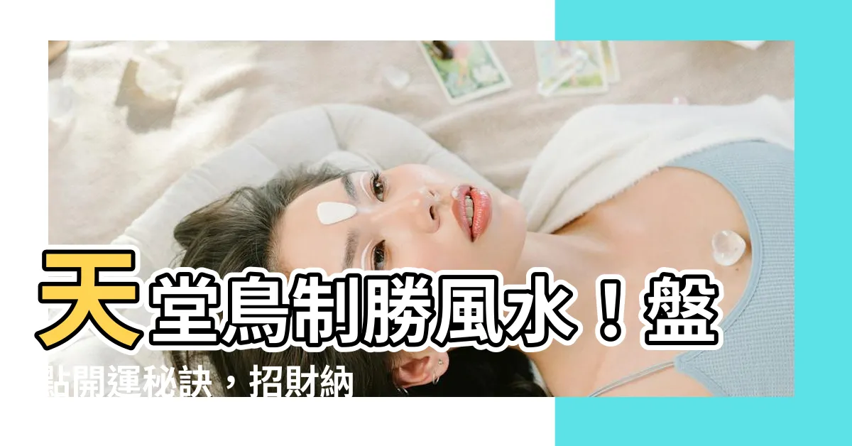 【天堂鳥風水】天堂鳥制勝風水！盤點開運秘訣，招財納福不求人