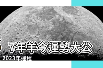 【67年羊】67年羊今運勢大公開！2023年運程月月報，命理大解析