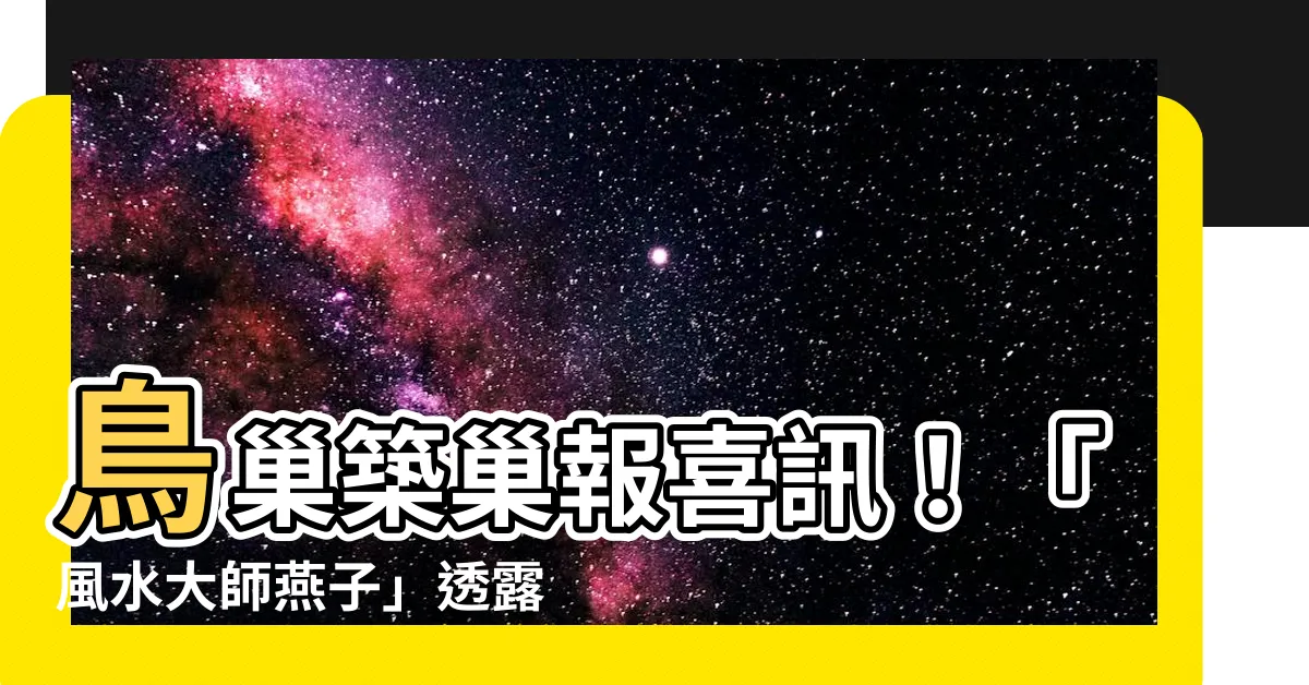 【鳥巢風水】鳥巢築巢報喜訊！「風水大師燕子」透露4生肖即將運勢大爆發
