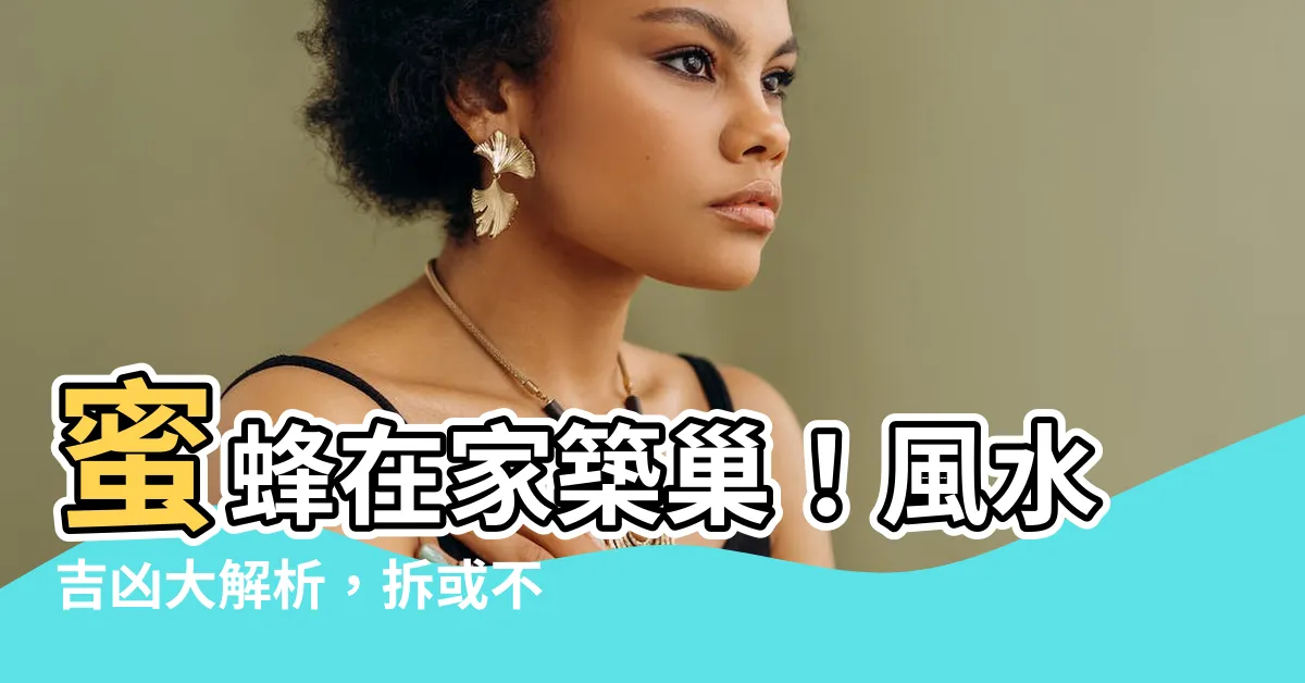【蜜蜂在家築巢 風水】蜜蜂在家築巢！風水吉凶大解析，拆或不拆一次搞懂