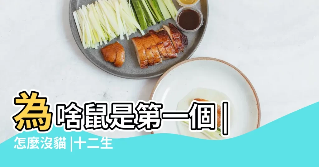 為啥鼠是第一個 |怎麼沒貓 |十二生肖的鼻子圖片 |【十二生肖鼻子圖片】