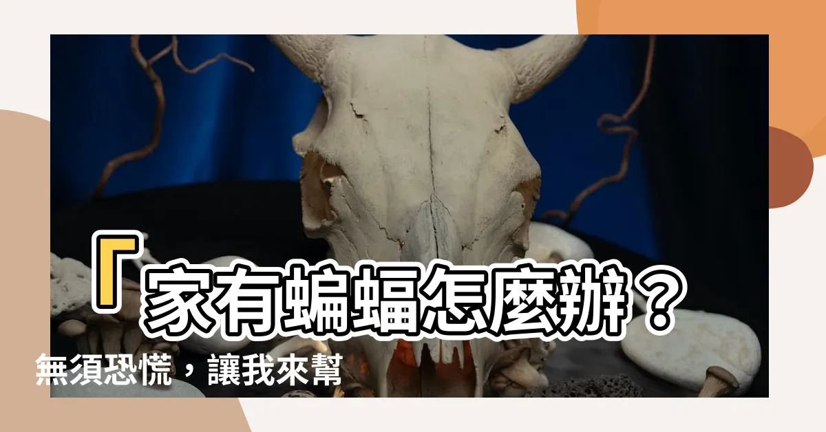 【家有蝙蝠怎麼辦】「家有蝙蝠怎麼辦？無須恐慌，讓我來幫你解決！」