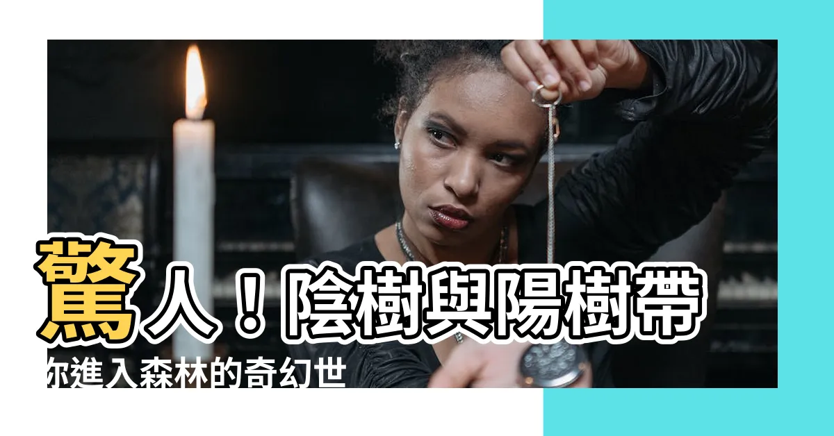 【陽樹と陰樹】驚人！陰樹與陽樹帶你進入森林的奇幻世界！