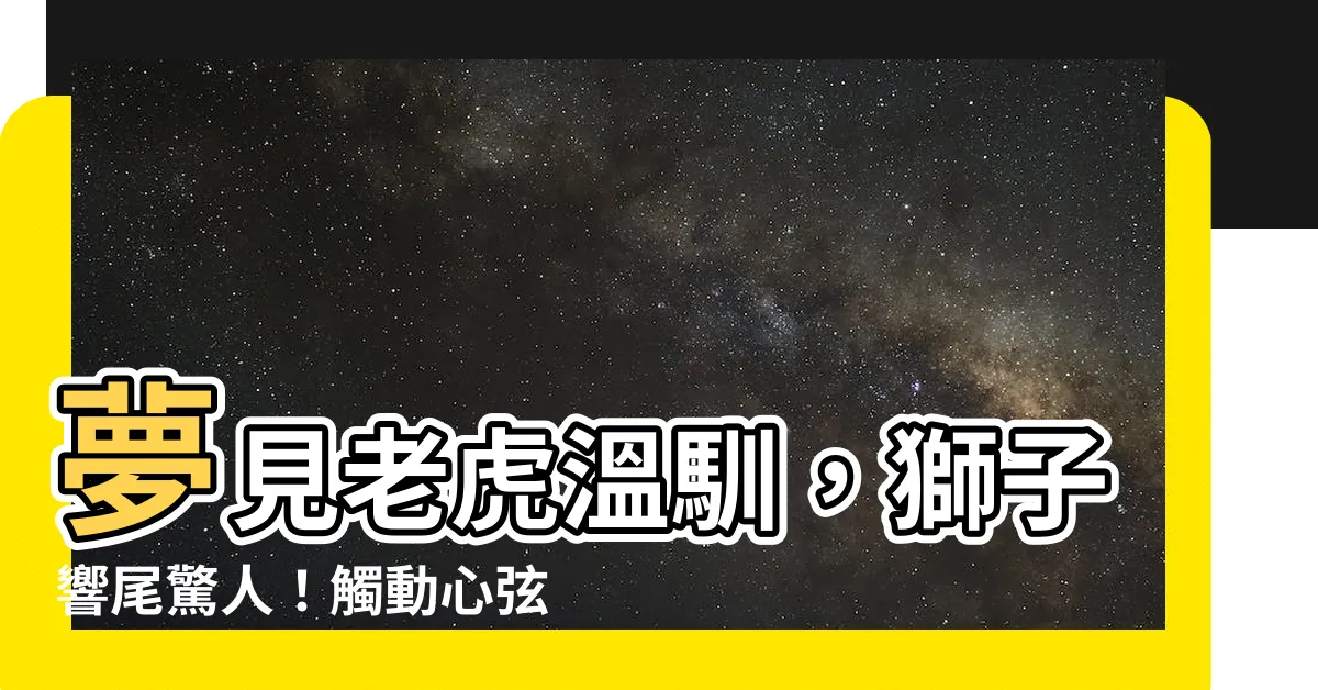 【夢見老虎温馴】夢見老虎温馴，獅子響尾驚人！觸動心絃的夢幻對決！