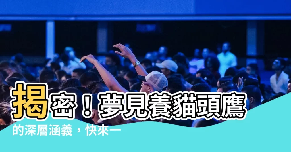 【夢見養貓頭鷹】揭密！夢見養貓頭鷹的深層涵義，快來一探究竟