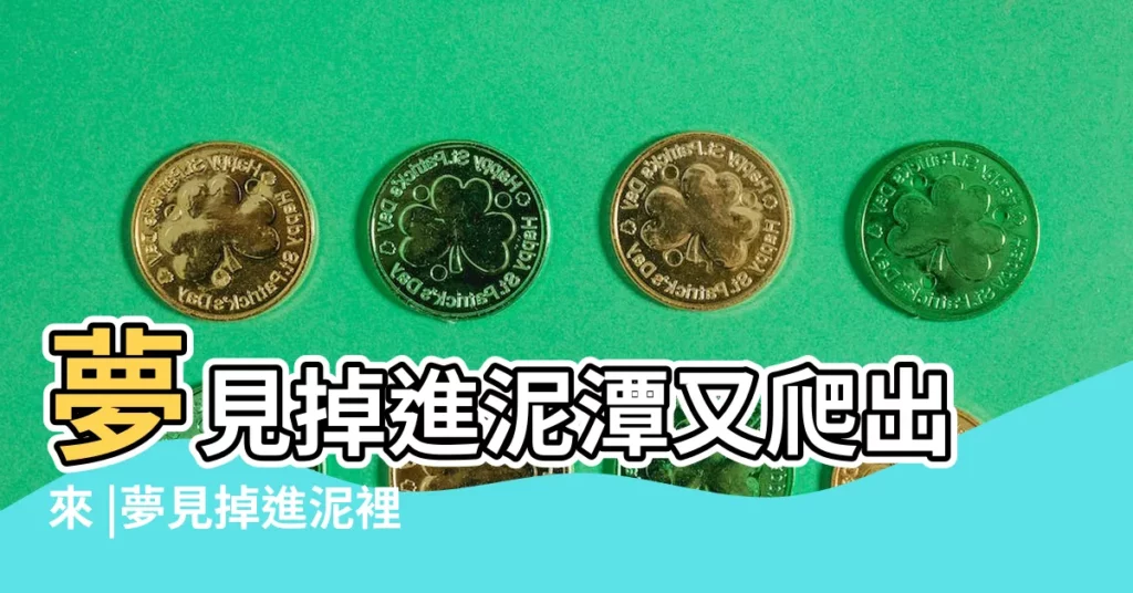 夢見掉進泥潭又爬出來 |夢見掉進泥裡 |夢見鞋掉進泥潭裡 |【夢見鞋掉進泥潭裏】