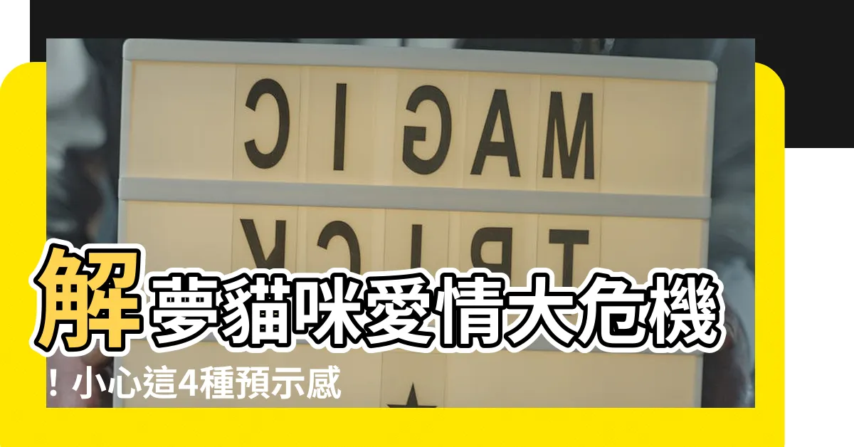 【解夢 貓】解夢貓咪愛情大危機！小心這4種預示感情生變的夢境
