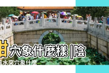 【陰宅突穴象什麼】鉗穴象什麼樣 |陰宅風水突穴象什麼 |搜索結果 |