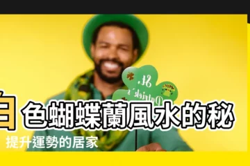 【白色蝴蝶蘭風水】白色蝴蝶蘭風水的秘密：提升運勢的居家好物