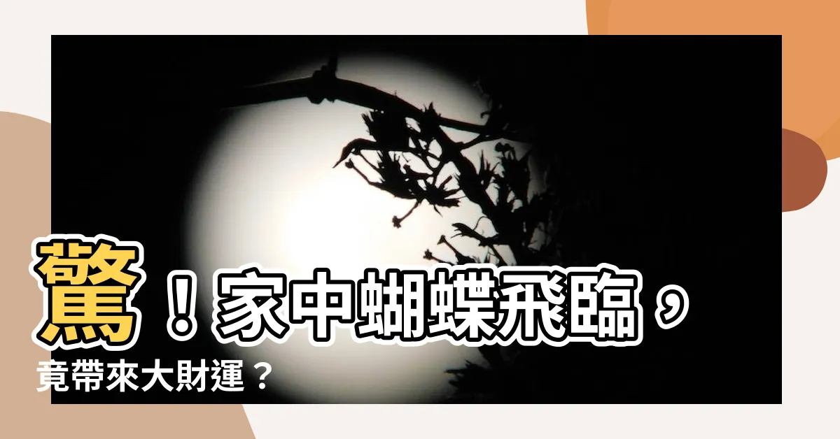 【家裡突然出現蝴蝶】驚！家中蝴蝶飛臨，竟帶來大財運？