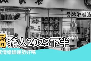 【屬豬男今年的愛情婚姻運勢如何】屬豬人2023下半年感情婚姻運勢好嗎 |2023年生肖豬的愛情 |屬豬男2023年的婚姻感情 |