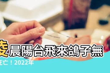 【鴿子死在陽台】凌晨陽台飛來鴿子無故死亡！2022年驚悚家禽事件備受關注