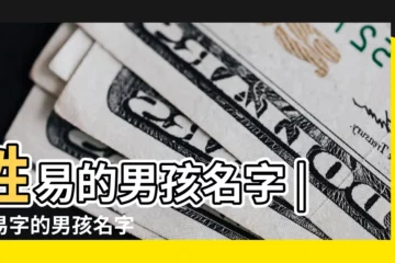 【取姓易的男孩名字大全】姓易的男孩名字 |帶易字的男孩名字 |易姓男寶寶起名字大全 |