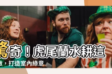 【虎尾蘭水耕】驚奇！虎尾蘭水耕這樣做，打造室內綠意淨化空氣！