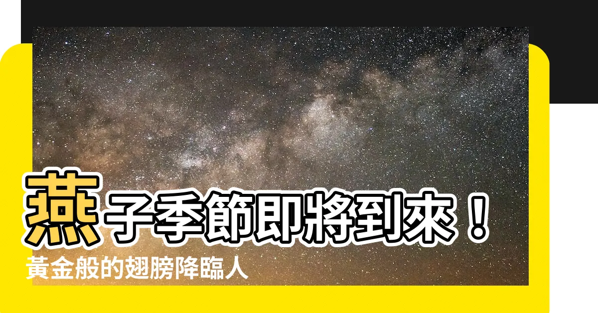 【燕子季節】燕子季節即將到來！黃金般的翅膀降臨人間，居民狂喜不已！