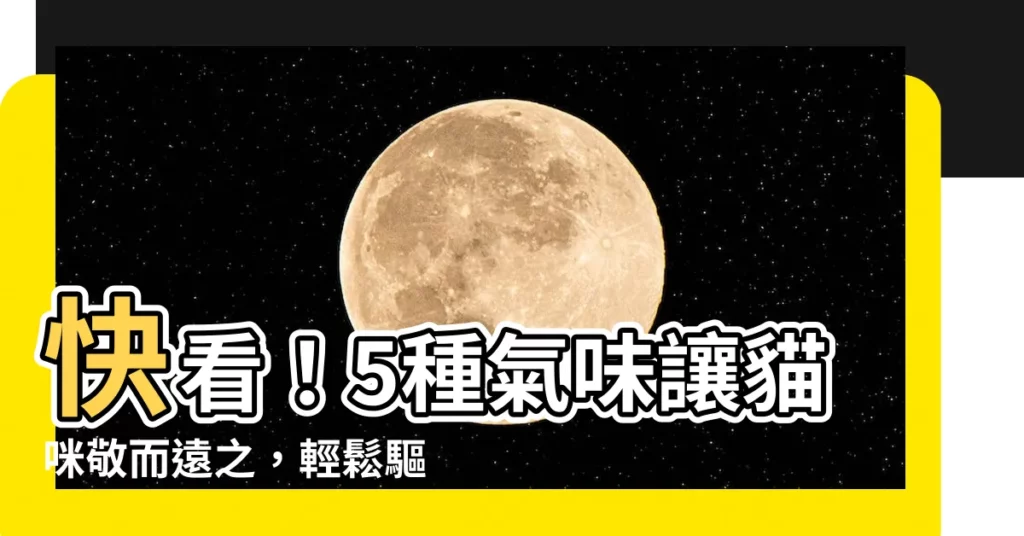 【驅趕貓咪】快看！5種氣味讓貓咪敬而遠之，輕鬆驅趕貓咪