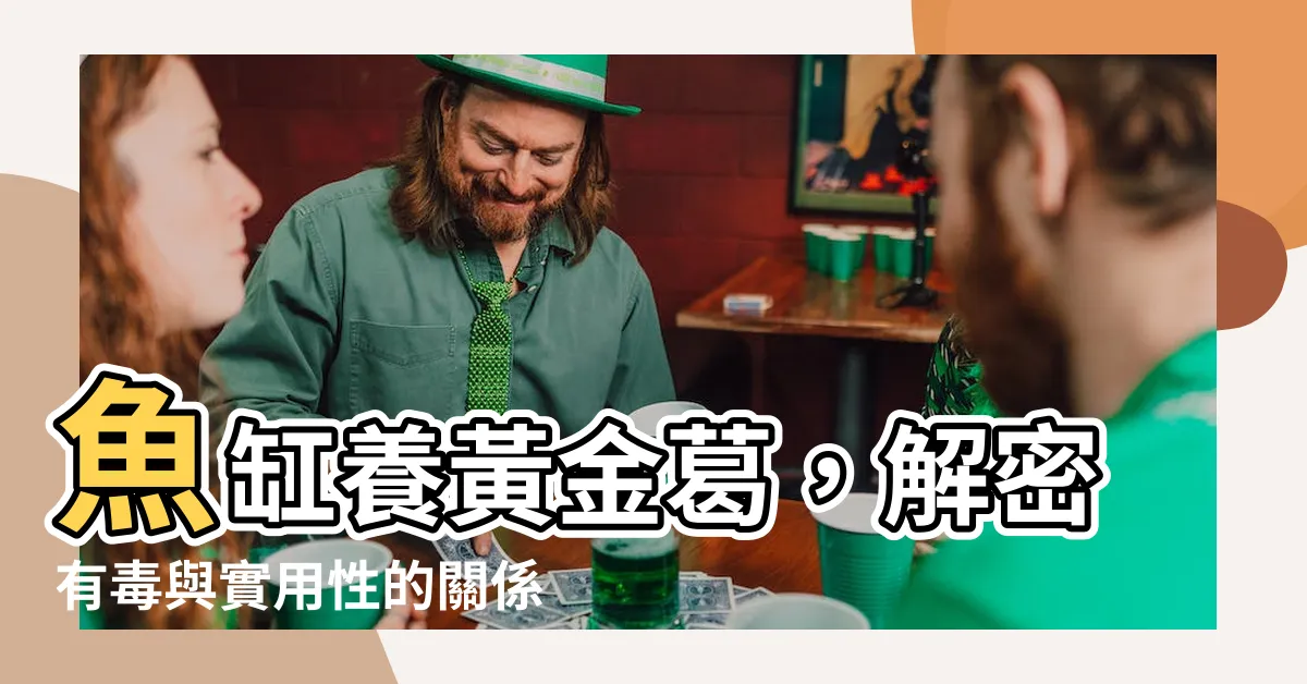 【黃金葛有毒養魚】魚缸養黃金葛，解密有毒與實用性的關係！