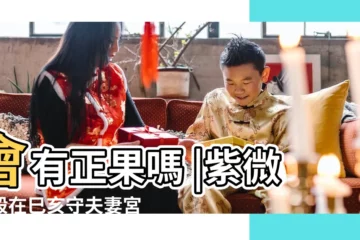 【紫微七殺在夫妻宮佔有慾強】會有正果嗎 |紫微七殺在巳亥守夫妻宮 |命宮無主星 |