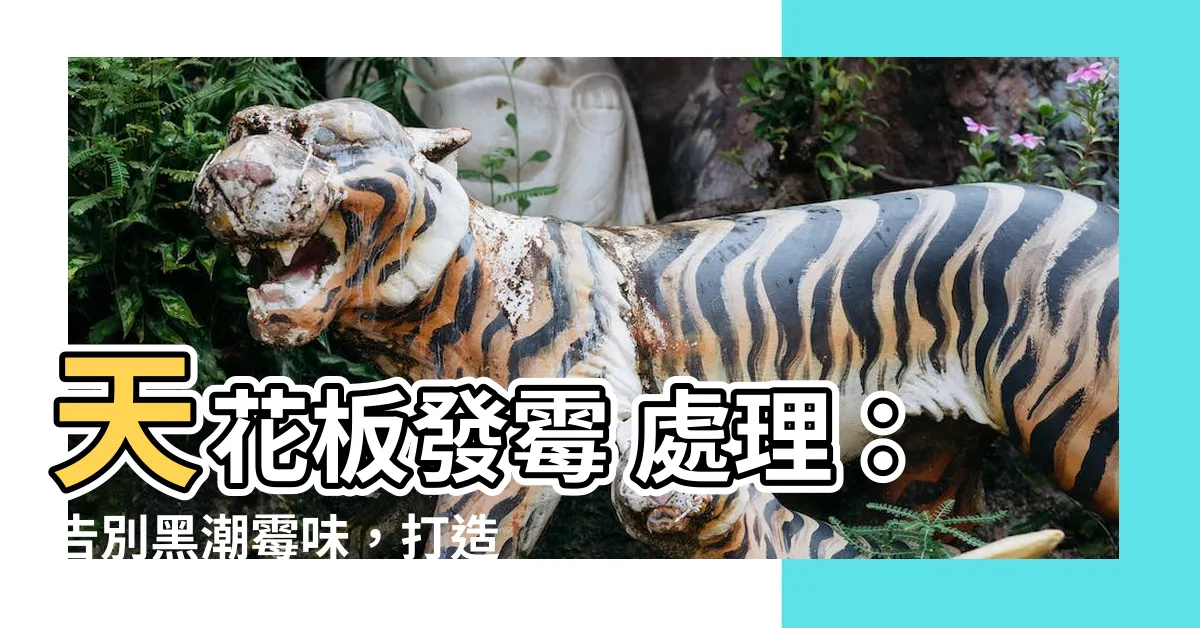 【天花板 發黴 處理】天花板發黴 處理：告別黑潮黴味，打造健康居家環境
