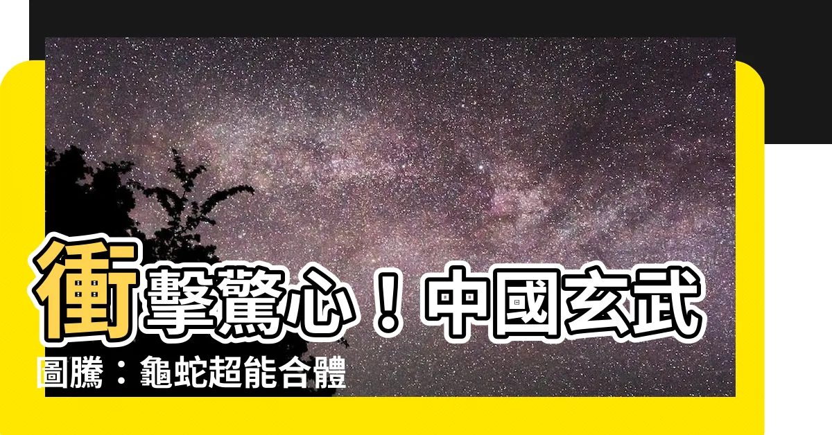 【中國玄武圖騰】衝擊驚心！中國玄武圖騰：龜蛇超能合體，震撼直擊！