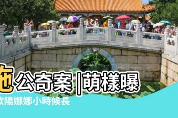 【歐陽華 康熙】施公奇案 |萌樣曝光歐陽娜娜小時候長這樣 |