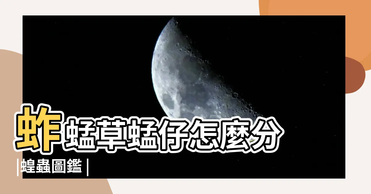 【蝗蟲種類】蚱蜢草蜢仔怎麼分 |蝗蟲圖鑑 |