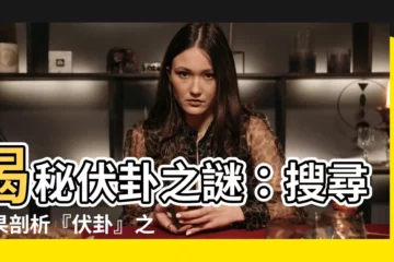 【伏卦】揭秘伏卦之謎：搜尋結果剖析『伏卦』之説