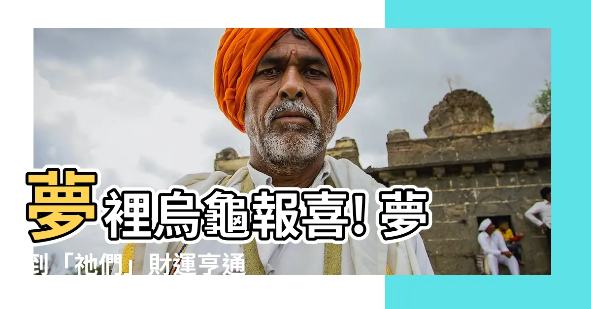 【夢 烏龜】夢裡烏龜報喜! 夢到「祂們」財運亨通