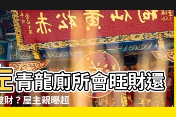 【左青龍廁所】左青龍廁所會旺財還是破財？屋主親曝超實用好處！