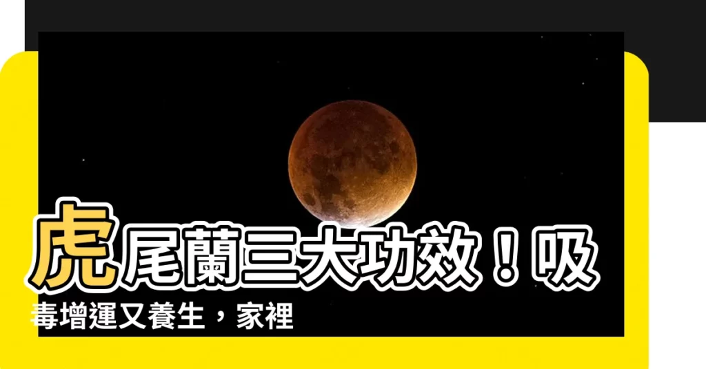 【虎尾蘭功效】虎尾蘭三大功效！吸毒增運又養生，家裡擺幾盆正剛好