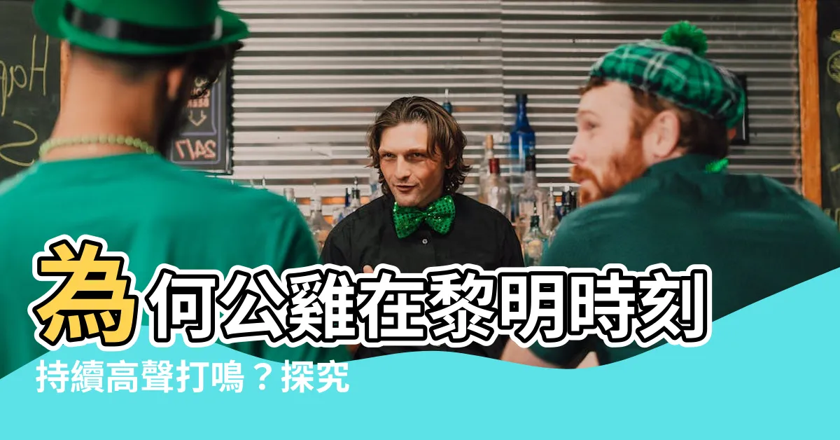 【雞啼原因】為何公雞在黎明時刻持續高聲打鳴？探究雞啼的原因