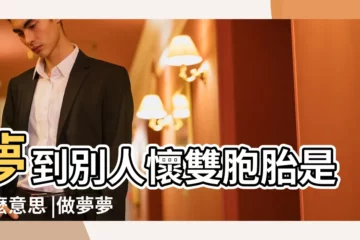 【夢見同事懷雙胞胎】夢到別人懷雙胞胎是什麼意思 |做夢夢見朋友懷雙胞胎好不好 |做夢夢見別人懷雙胞胎好不好 |