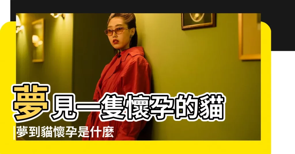 夢見一隻懷孕的貓 |夢到貓懷孕是什麼意思 |夢見貓懷孕 |【夢見貓自己養的貓懷孕】