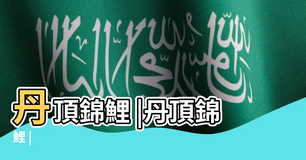 【錦鯉丹頂】丹頂錦鯉 |丹頂錦鯉 |