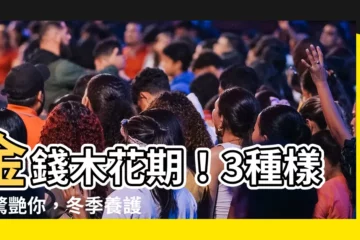 【金錢木開花】金錢木花期！3種樣貌驚艷你，冬季養護小心機大公開！