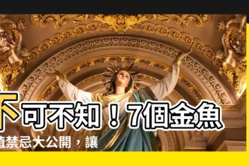 【金魚】不可不知！7個金魚養殖禁忌大公開，讓你的小金魚長命百歲