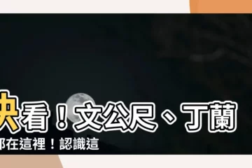 【文公尺 丁蘭尺】快看！文公尺、丁蘭尺都在這裡！認識這些捲尺上神秘的符號