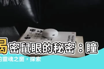 【鼠眼】揭密鼠眼的秘密：瞳孔的靈魂之窗，探索你的性格與命運